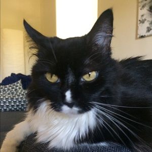 Meet your Posher, Renee